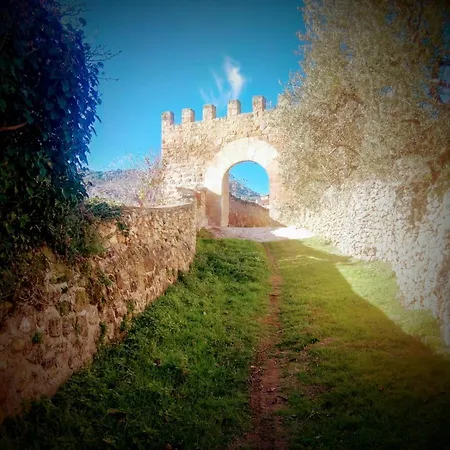 Apartamento Moliner *